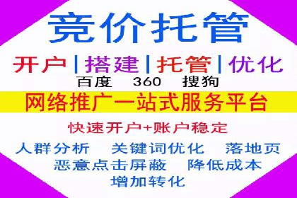 高效SEM托管公司案例对比分析